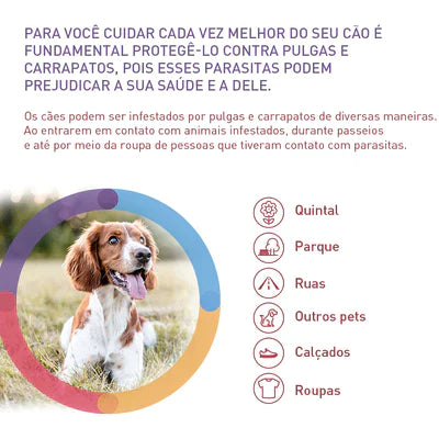 Bravecto para Cães de 4,5 a 10kg - 250 mg - 2 Unidades